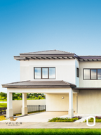 THE WOODS - Entrega Futura