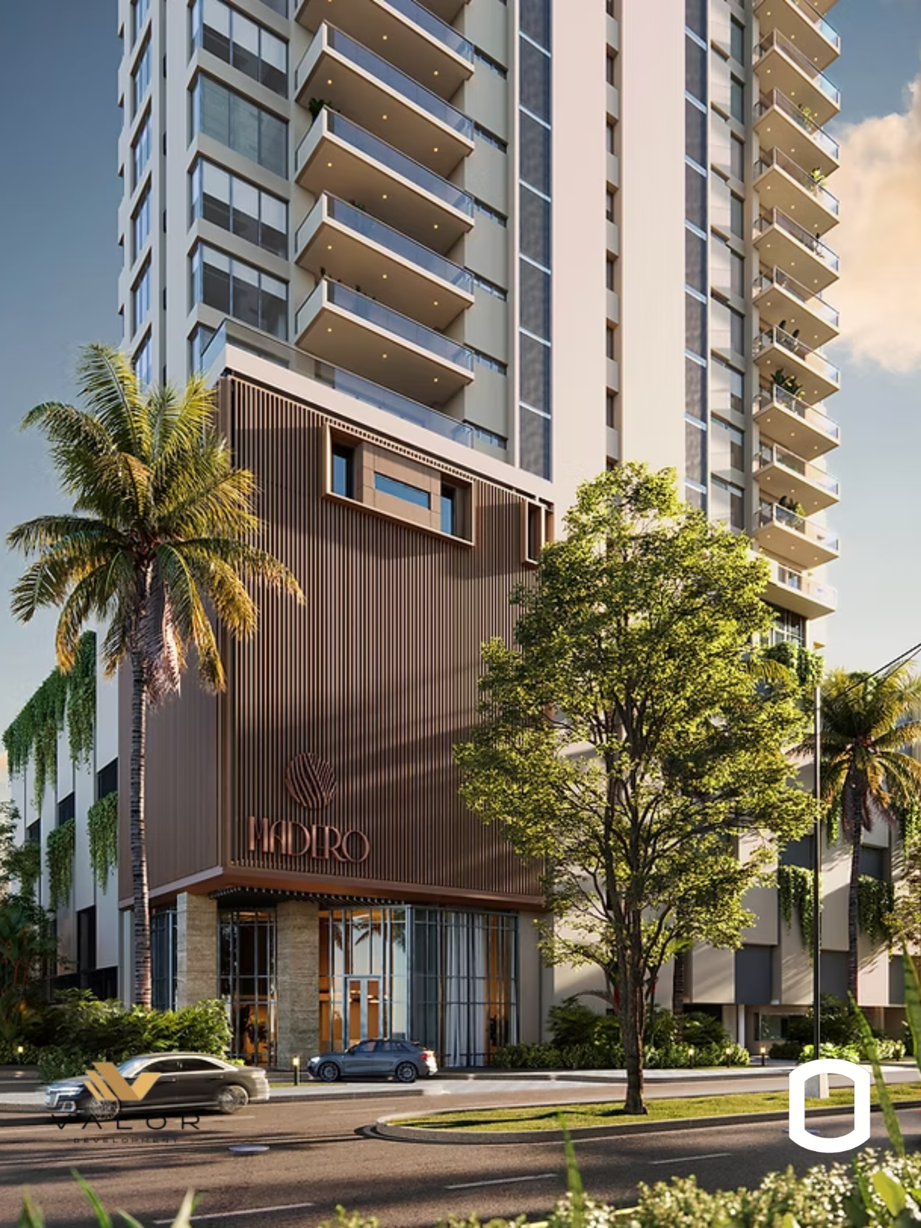 MADERO - Entrega Futura