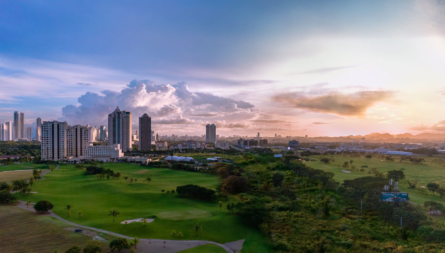 GUAYACAN - Entrega Futura